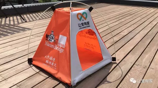 送帐篷：寒流还有5秒即将抵达战场